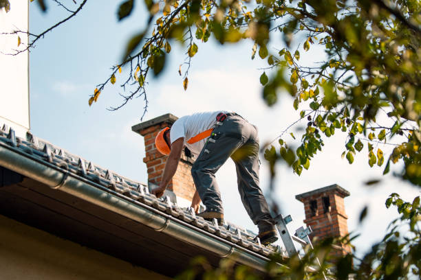 Best Solar Panel Roofing Installation  in Chamberlayne, VA